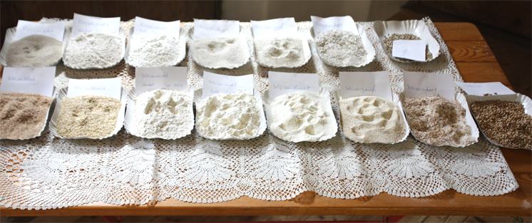 IMG_68931_746x313 Mahlzwischenprodukte