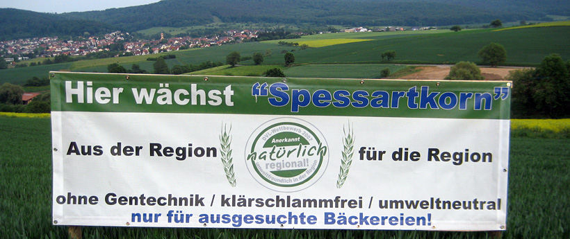 Regionalität